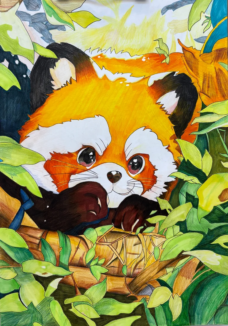 未知几何综合进阶一阶代表课效作品